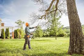 How Our Tree Care Process Works  in  Terre Haute, IN